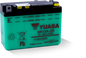 Yuasa 6N12A-2D Conventional 6 Volt Battery