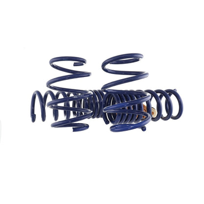 Ford Racing 15-22 Mustang Track Lowering Spring Kit