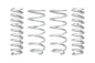 Eibach Pro-Truck Lift Kit 10-14 Ford F-150 SVT Raptor (Front Springs Only)