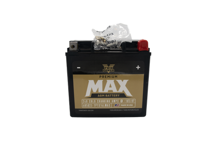 Twin Power GYZ-16HL Premium MAX Battery Replaces H-D 65958-04 Made in USA 240 CCA