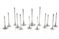 Ferrea Acura/Honda B16A1/B17A1 28mm 5.45mm 102.5mm 25 Deg Flo Stock Super Alloy Exh Valve - Set of 8