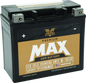 Twin Power GYZ-20HL Premium MAX Battery Replaces H-D 65989-97A Made in USA 320 CCA