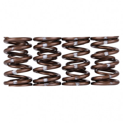 Skunk2 Pro Series Honda/Acura K-Series i-VTEC XP Valve Spring Set (Dual Springs)