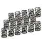 Supertech Honda H22A1/H22A4 Dual Valve Spring - Set of 16