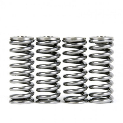 Skunk2 Alpha Series Honda/Acura D Series Valve Spring and Titanium Retainer Kit