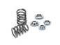 Supertech Mazda Miata 1.8L Single Valve Spring Kit