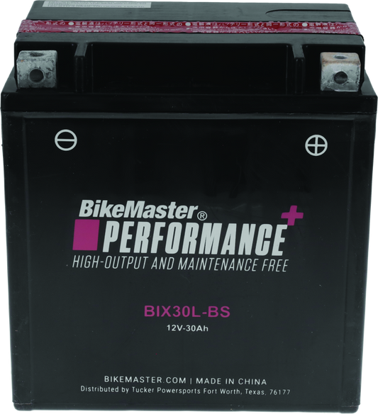 BikeMaster BIX30L-BS Battery