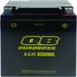 QuadBoss Maintenance-Free AGM Battery QBX30L-FA