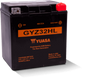 Yuasa GYZ32HL High Performance Maintenance Free AGM 12 Volt Battery