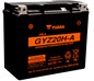 Yuasa GYZ20HA High Performance Maintenance Free AGM 12 Volt Battery