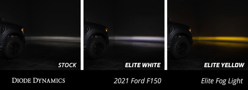 Diode Dynamics 21-23 Ford F-150 Elite Fog Lamps - White