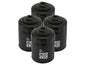 aFe Pro GUARD D2 Oil Filter 99-14 Nissan Trucks / 01-15 Honda Cars (4 Pack)