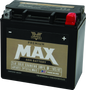 Twin Power GYZ-16HL Premium MAX Battery Replaces H-D 65958-04 Made in USA 240 CCA